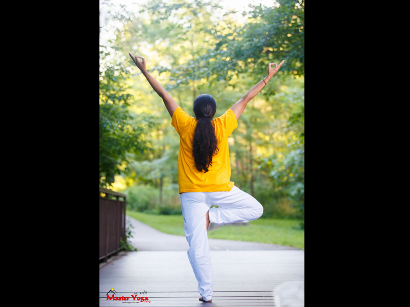 Master Yoga Inc